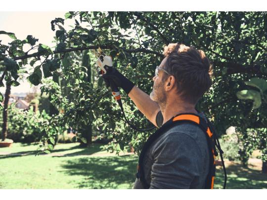 Stihl Accu snoeizaag Stihl ASA 140