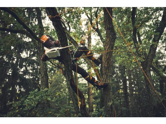 Stihl Accu Kettingzaag Stihl MSA 190 T 05